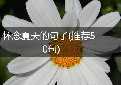 怀念夏天的句子(推荐50句)