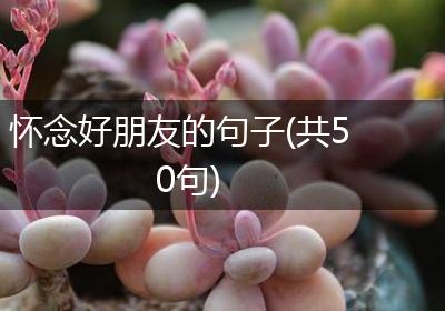 怀念好朋友的句子(共50句)