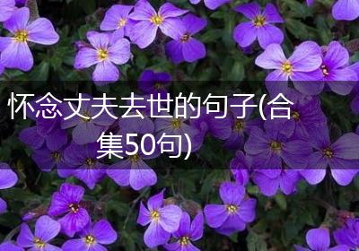 怀念丈夫去世的句子(合集50句)