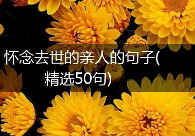 怀念去世的亲人的句子(精选50句)