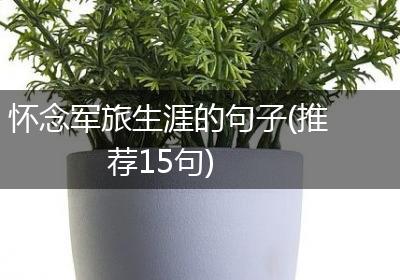 怀念军旅生涯的句子(推荐15句)