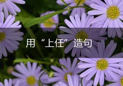 用“上任”造句