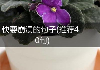 快要崩溃的句子(推荐40句)