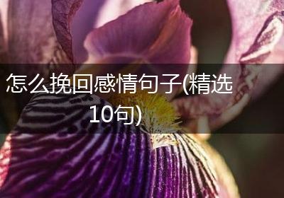 怎么挽回感情句子(精选10句)