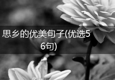 思乡的优美句子(优选56句)