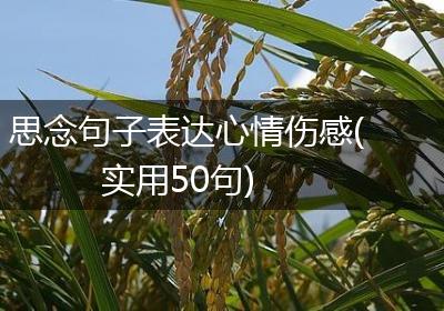 思念句子表达心情伤感(实用50句)