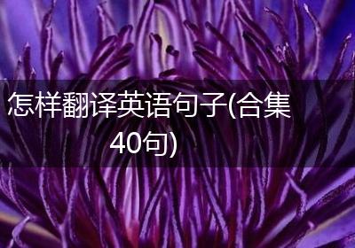 怎样翻译英语句子(合集40句)