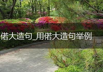 偌大造句_用偌大造句举例