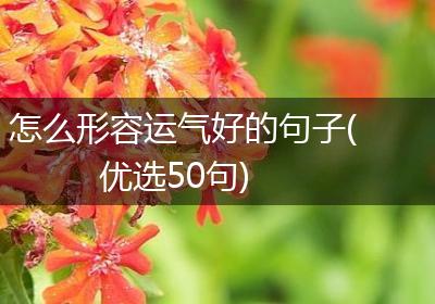 怎么形容运气好的句子(优选50句)