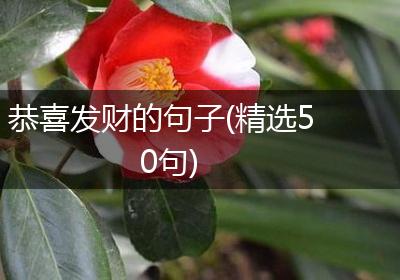 恭喜发财的句子(精选50句)
