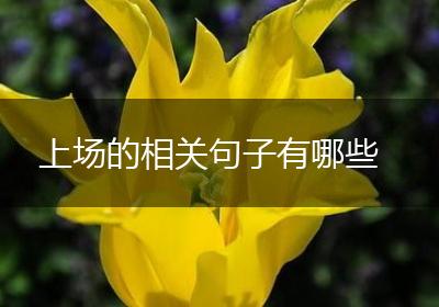 上场的相关句子有哪些