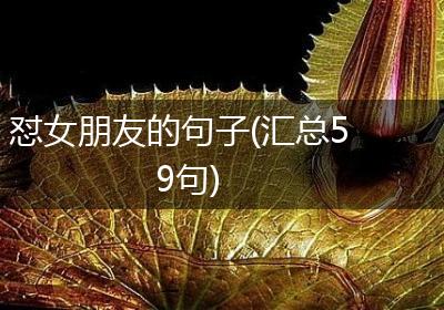 怼女朋友的句子(汇总59句)