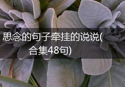 思念的句子牵挂的说说(合集48句)