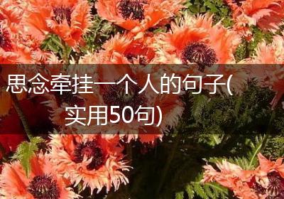 思念牵挂一个人的句子(实用50句)