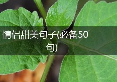 情侣甜美句子(必备50句)