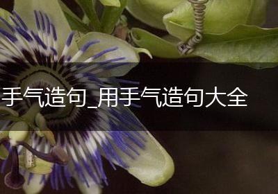 手气造句_用手气造句大全