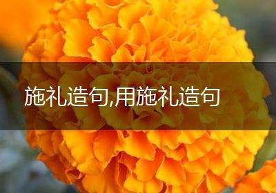 施礼造句,用施礼造句