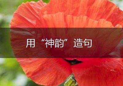 用“神韵”造句
