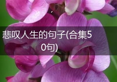 悲叹人生的句子(合集50句)