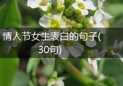 情人节女生表白的句子(30句)