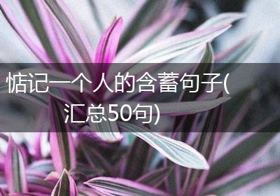惦记一个人的含蓄句子(汇总50句)