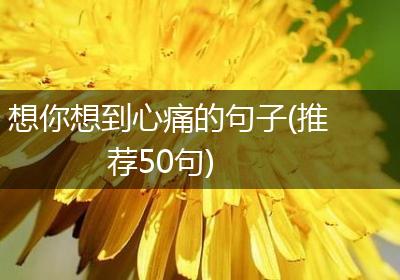 想你想到心痛的句子(推荐50句)
