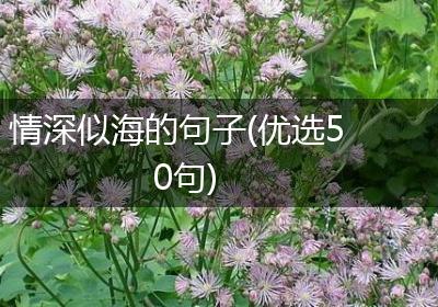 情深似海的句子(优选50句)