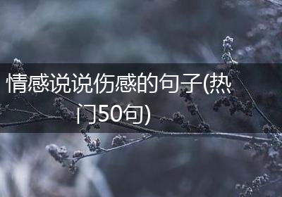 情感说说伤感的句子(热门50句)