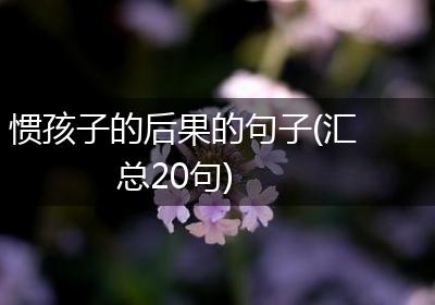 惯孩子的后果的句子(汇总20句)