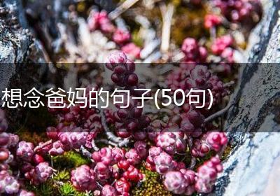 想念爸妈的句子(50句)