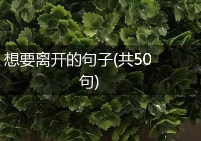 想要离开的句子(共50句)