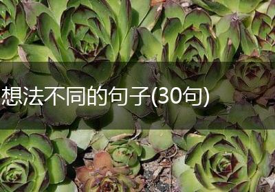 想法不同的句子(30句)