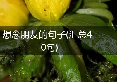 想念朋友的句子(汇总40句)