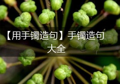 【用手镯造句】手镯造句大全