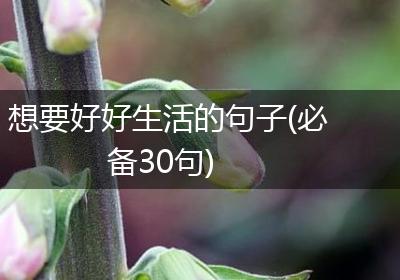 想要好好生活的句子(必备30句)
