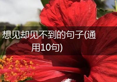 想见却见不到的句子(通用10句)