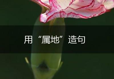 用“属地”造句