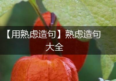 【用熟虑造句】熟虑造句大全