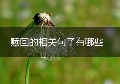 赎回的相关句子有哪些