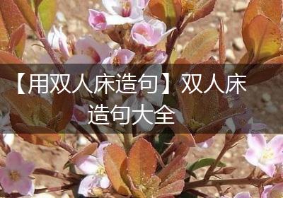 【用双人床造句】双人床造句大全