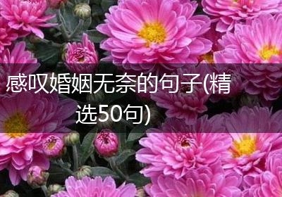 感叹婚姻无奈的句子(精选50句)