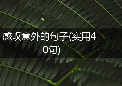 感叹意外的句子(实用40句)