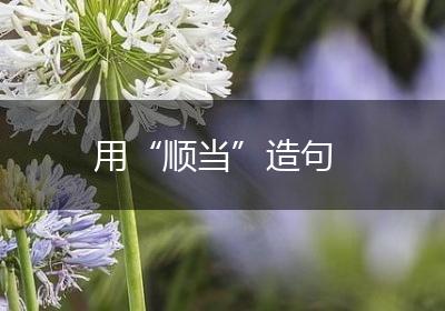 用“顺当”造句