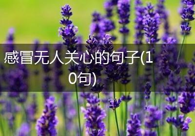 感冒无人关心的句子(10句)