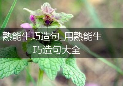 熟能生巧造句_用熟能生巧造句大全