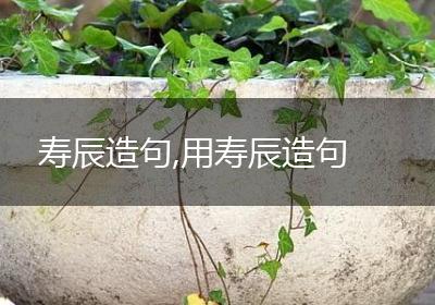 寿辰造句,用寿辰造句