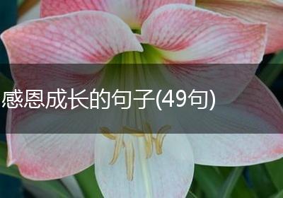 感恩成长的句子(49句)