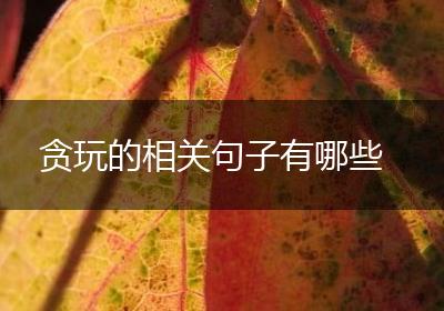 贪玩的相关句子有哪些