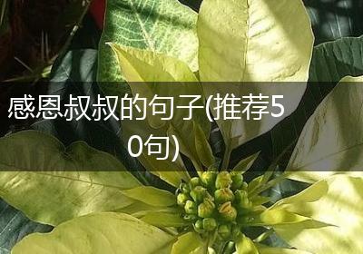 感恩叔叔的句子(推荐50句)