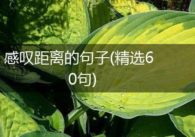 感叹距离的句子(精选60句)
